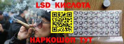 гашик Аргун