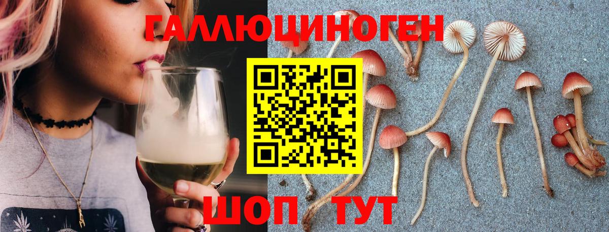 Галлюциногенные грибы GOLDEN TEACHER Волгоград