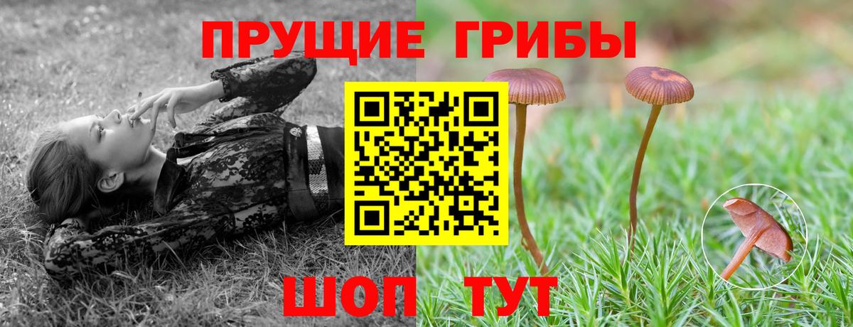 Псилоцибиновые грибы MAGIC MUSHROOMS  Вход с VPN  Волгоград  Псилоцибиновые грибы Magic Shrooms 